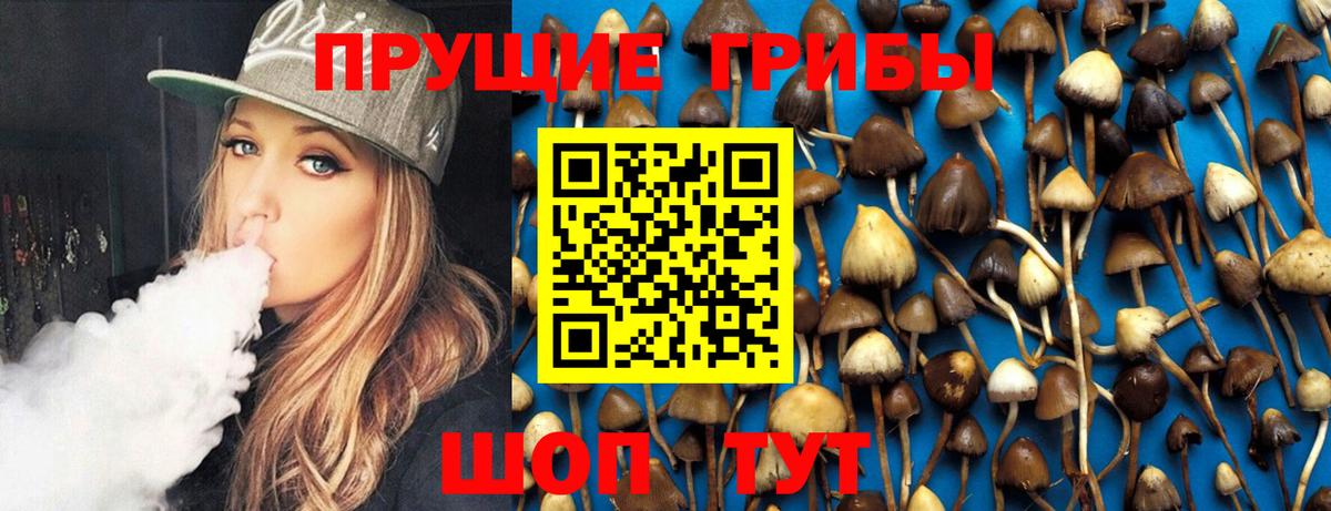 Псилоцибиновые грибы мухоморы Альметьевск