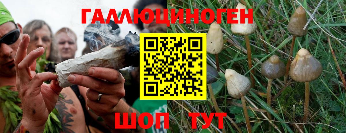 Альметьевск  где купить наркотик  Псилоцибиновые грибы MAGIC MUSHROOMS  Вход с VPN  Псилоцибиновые грибы мицелий 